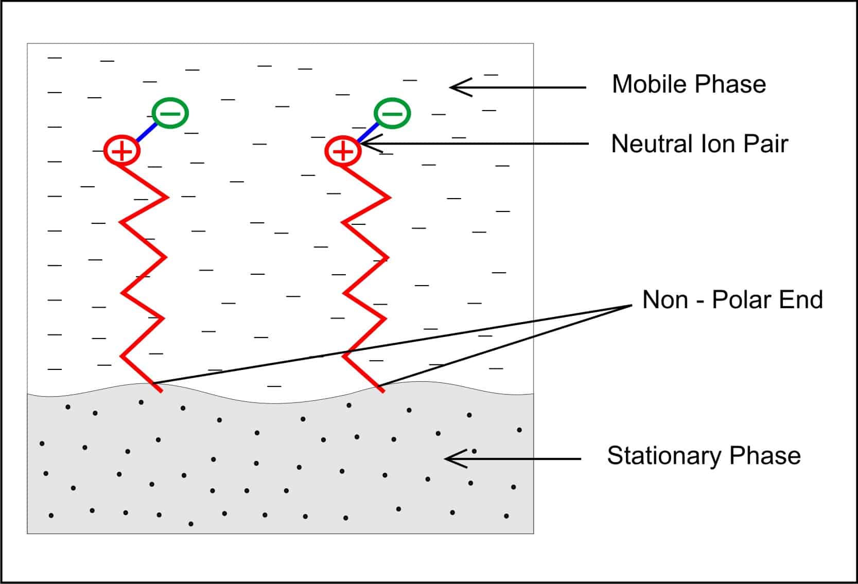 Mobile phase diagram wid polar n non polar ends