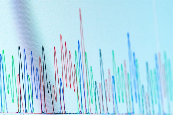 Chromatographic-Peaks