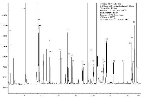Gas Chromatogarm