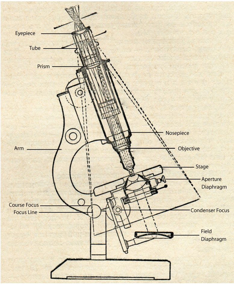 microscope-label