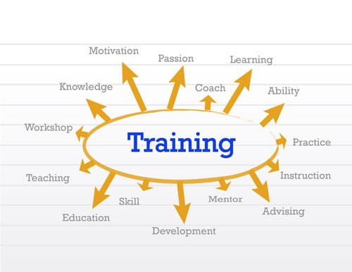 Training roadmap