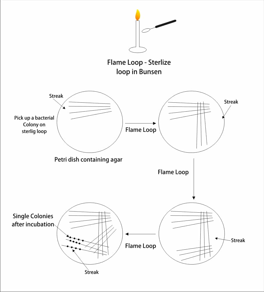 Diagram 5
