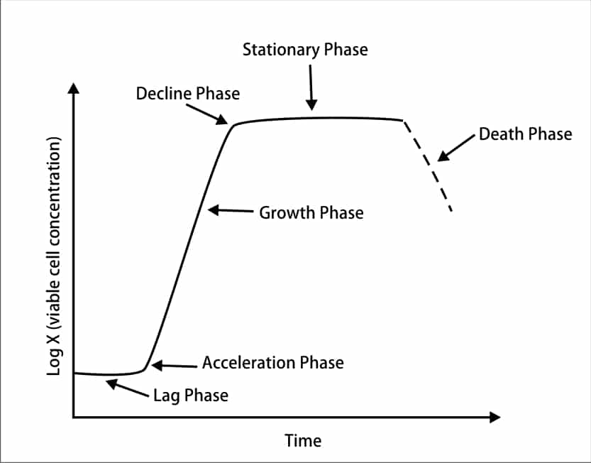 Diagram2
