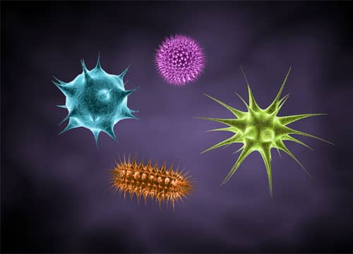 Microorganisms