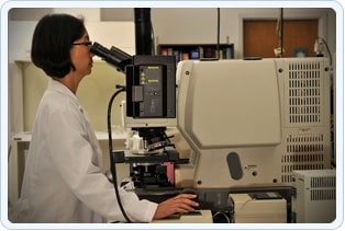 FTIR-img1