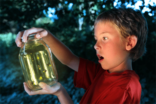 Boy-in-awe-on-looking-at-glowing-fire-flies