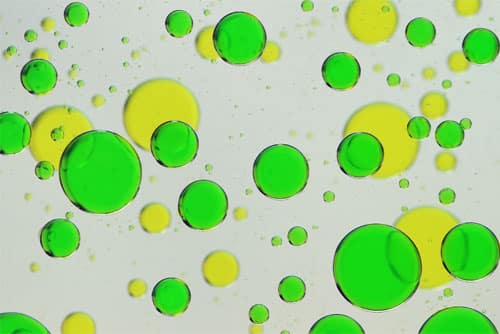 Neighbourhood-of-Fluorescent-moleclules