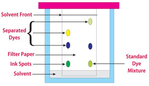 Developed Chromatographic Sheet