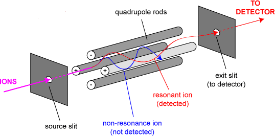 Quadrupole-Mass-analyzer-assembly