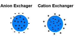 300px-Anion+cation\_exchanger2